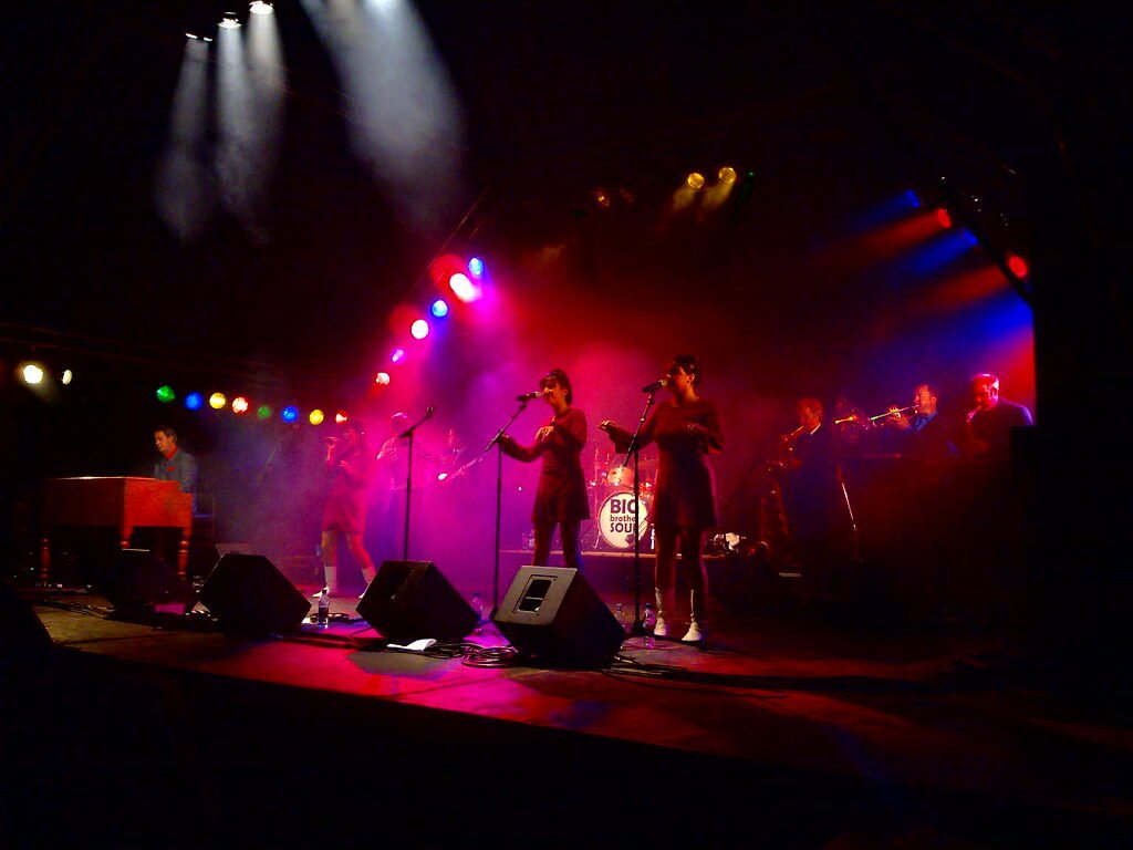 a sunflower in a field with a blue sky in the background